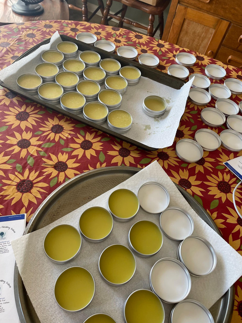 All-Natural Arnica Salve